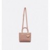 Sac Lady Dior Medium fard