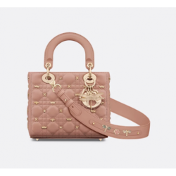 Sac Lady Dior My ABCDior Small libellules dorés pink