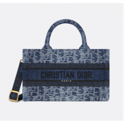 Sac Dior Book Tote Mini Oblique bleu