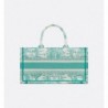 Sac Dior Book Tote East-West Dioriviera Aquamarina