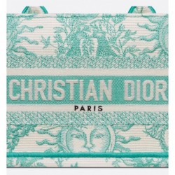 Sac Dior Book Tote East-West Dioriviera Aquamarina