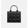 Sac Dior Book Tote Small noir