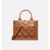 Sac Dior Book Tote Small sable