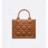 Sac Dior Book Tote Small sable