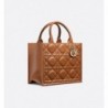 Sac Dior Book Tote Small sable