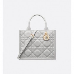 Sac Dior Book Tote Small gris